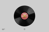 Animal Crossing (Nintendo Soundtrack): Totakeke Music Instrumental Selection (1xLP Vinyl Record)
