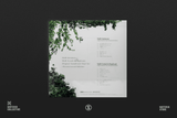 NieR:Automata / NieR Gestalt & Replicant Original Soundtrack Vinyl Set (Reconstructed Edition) (2xLP Vinyl Record) - Translucent Clear