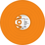 Dysfunctional Systems: Learning to Manage Chaos (1xLP Vinyl Record)